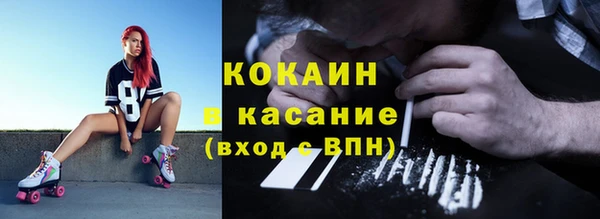 индика Приозерск