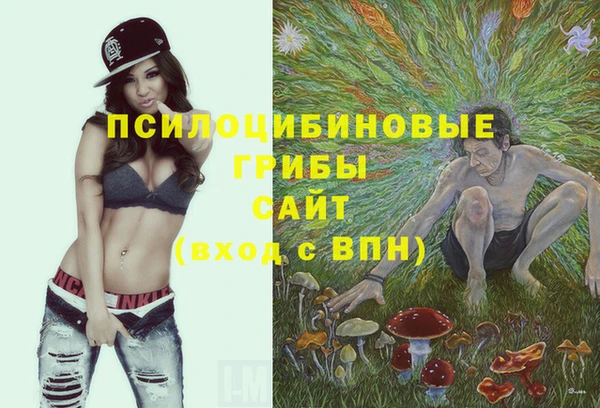 герыч Алексин
