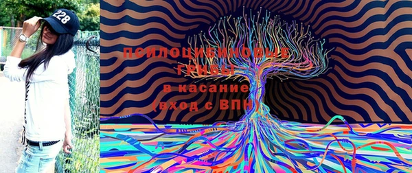 герыч Алексин