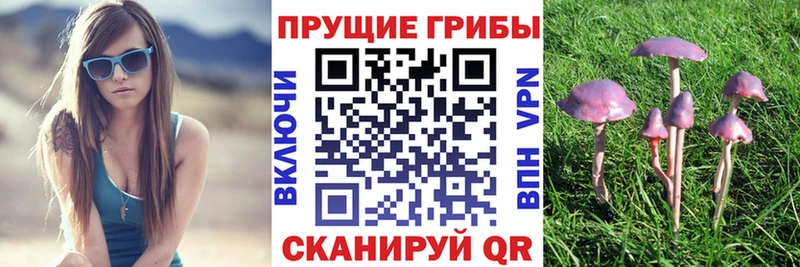 Галлюциногенные грибы Magic Shrooms  даркнет сайт  гидра как зайти  Биробиджан 